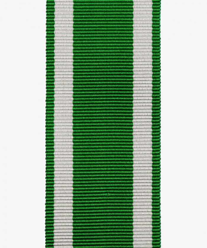 Anhalt Bernburg, Medaille für Verdienst um Kunst und Wissenschaft, Medaille für 50-jährige Diensttreue (37)
